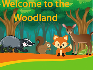 Woodland 2023-2024